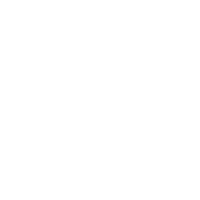 Bright Foundation logo